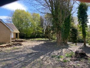 Photo 14- click for photo gallery